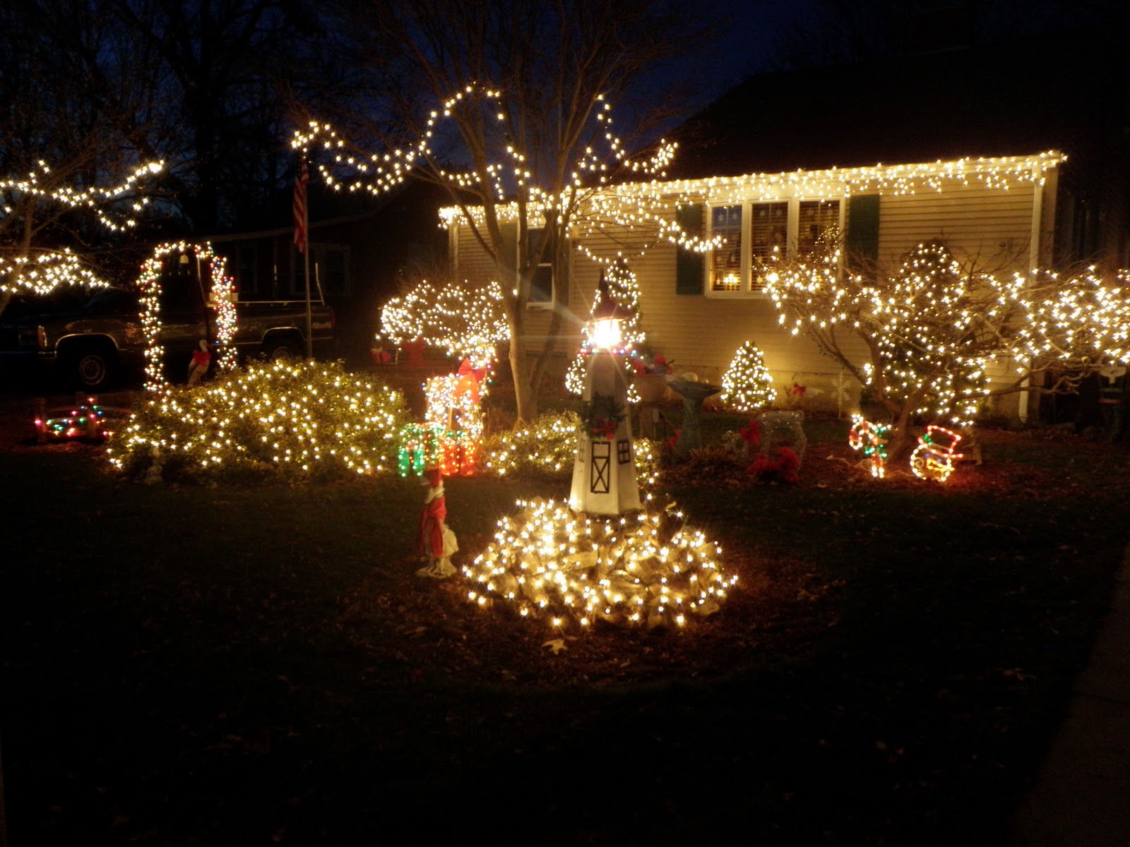 For the love of Disney running... Christmas Lights and Night Running