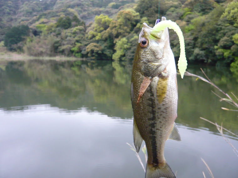Fishing　Kumamoto9669
