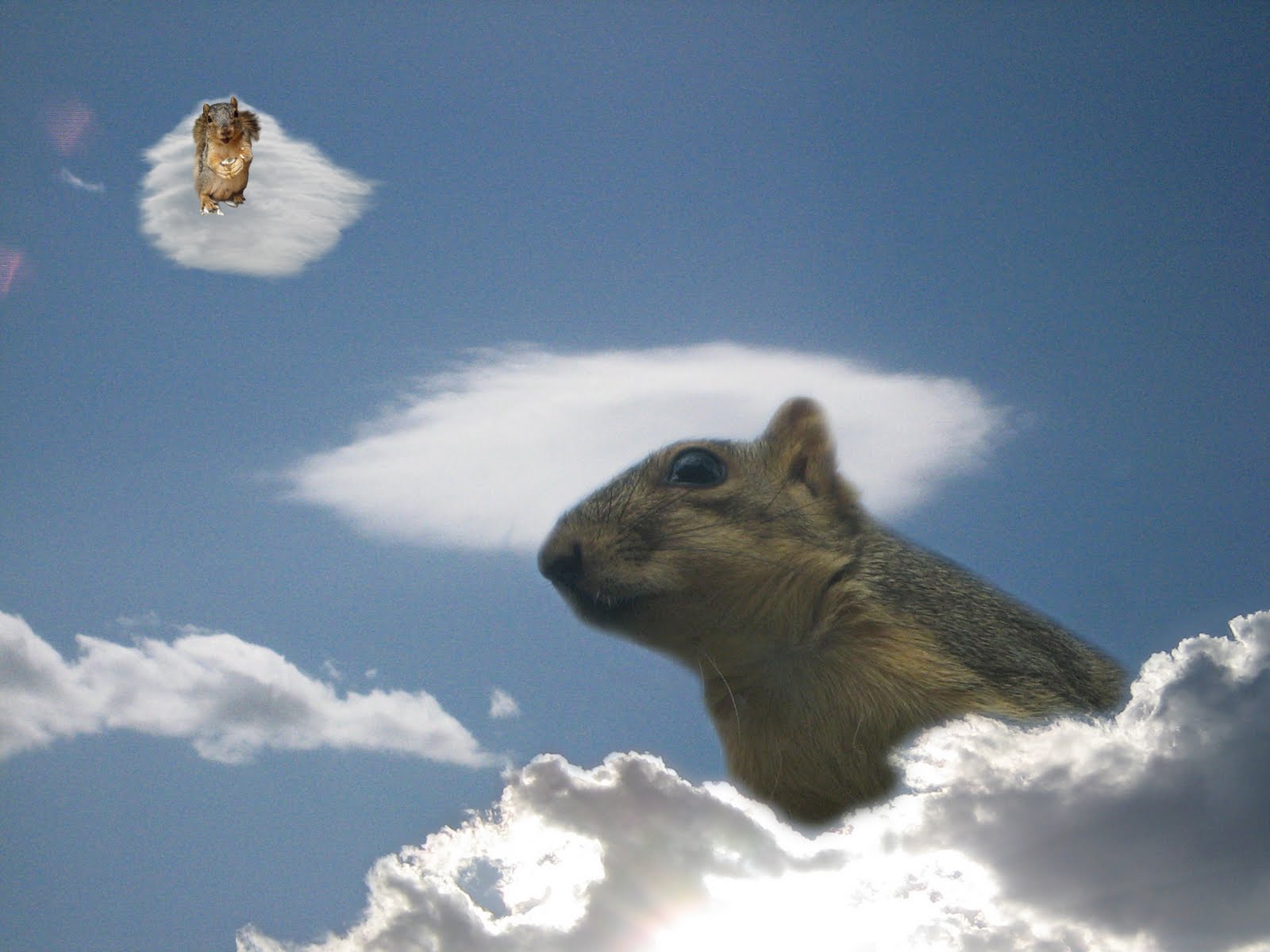 Squirrels of Wisdom: Even in Death, Squirrelessence Keeps Giving!