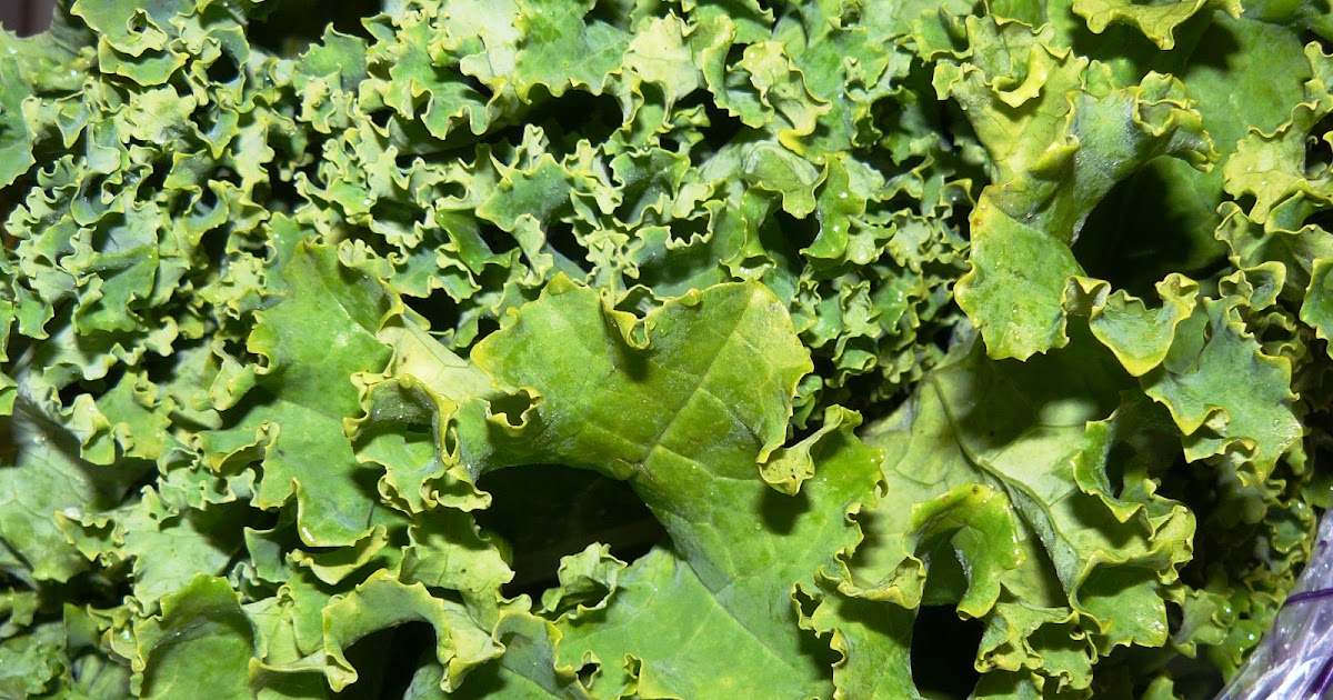 Living with Food Allergies & Restrictions Why Blog?