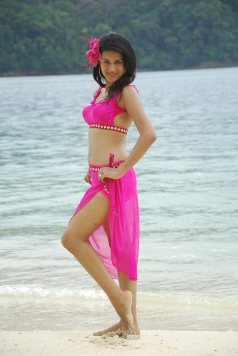 shraddha das spicy new from mugguru, shraddha das hot photoshoot