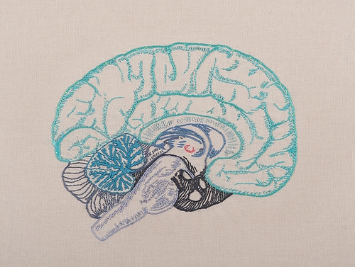 02-The Brain-Juana-Gómez-Embroidered-Anatomy-exposing-Internal-Physiology-www-designstack-co