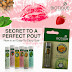 Protect and Moisturize Your Lips this Winter - Biotique Lip Balms