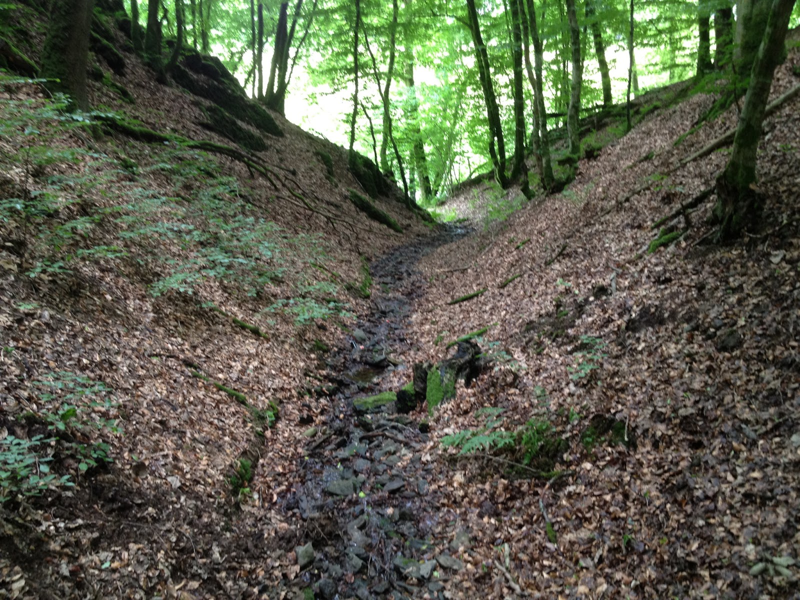 Hiking Westerwald Mit Weltende Pfad Wandern Wander Tour Hachenburg Marienthal Weltende Pfad