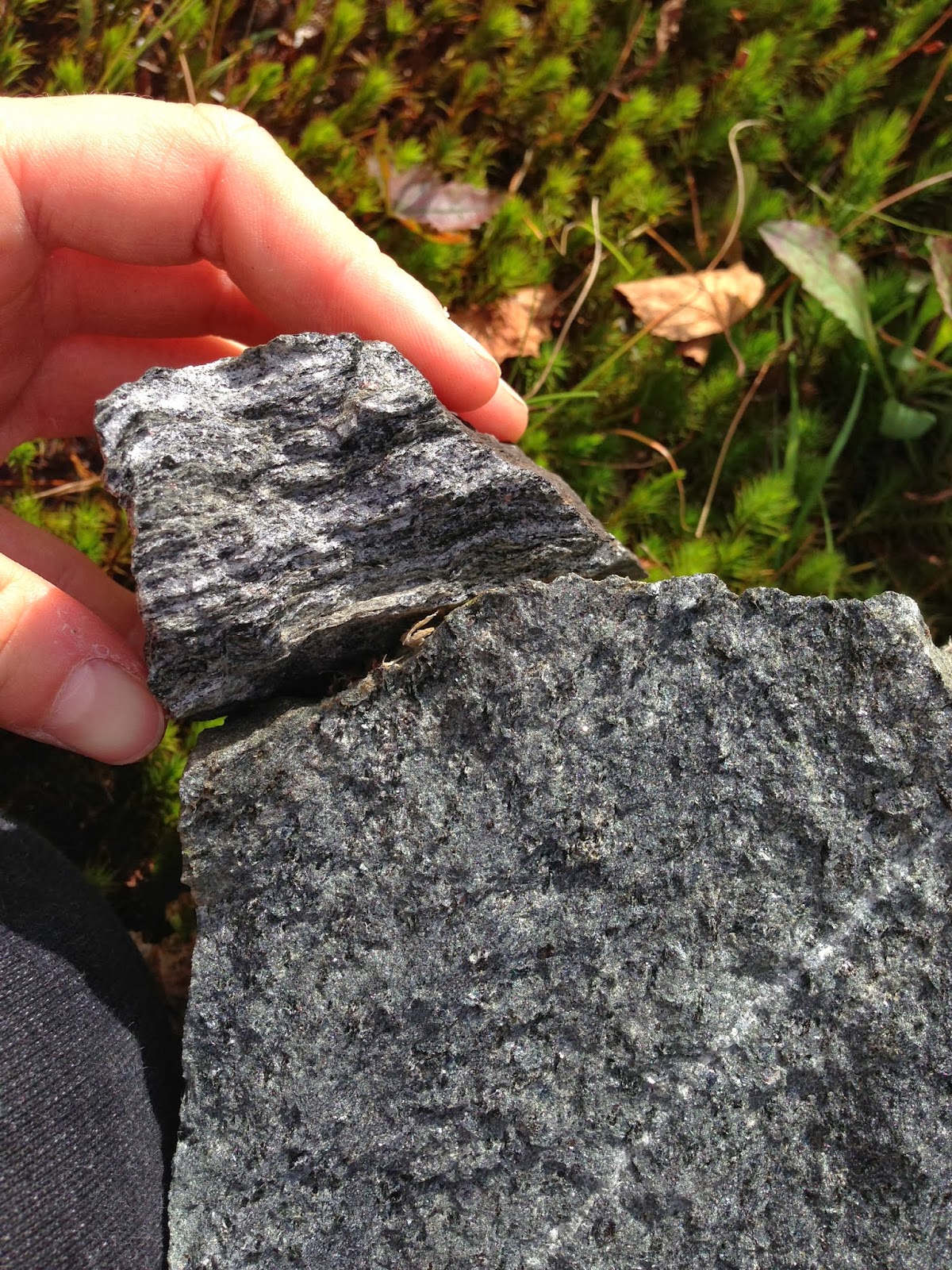 figure 3 7 schist from stop 5 shown on the right it is fine grained and uniform in texture and color on the left is a piece of foliated gneiss with a figure 3 7 schist from stop 5 shown on the right it is fine grained and uniform in texture and color on the left is a piece of foliated gneiss with a