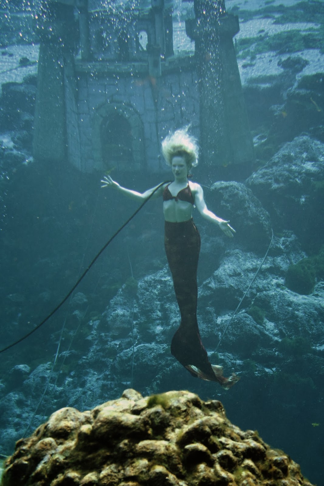 The Carpetbagger Weeki Wachee