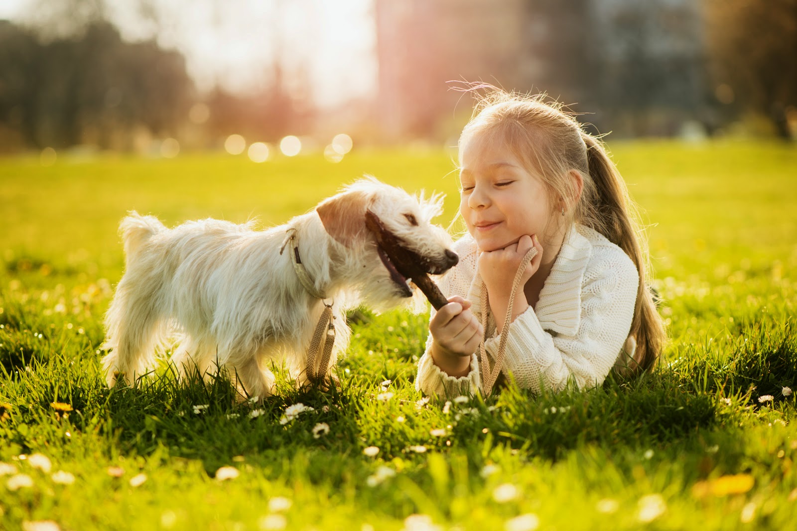 Zur gesunden Pfoten Blog Kotfressen bei Hunden