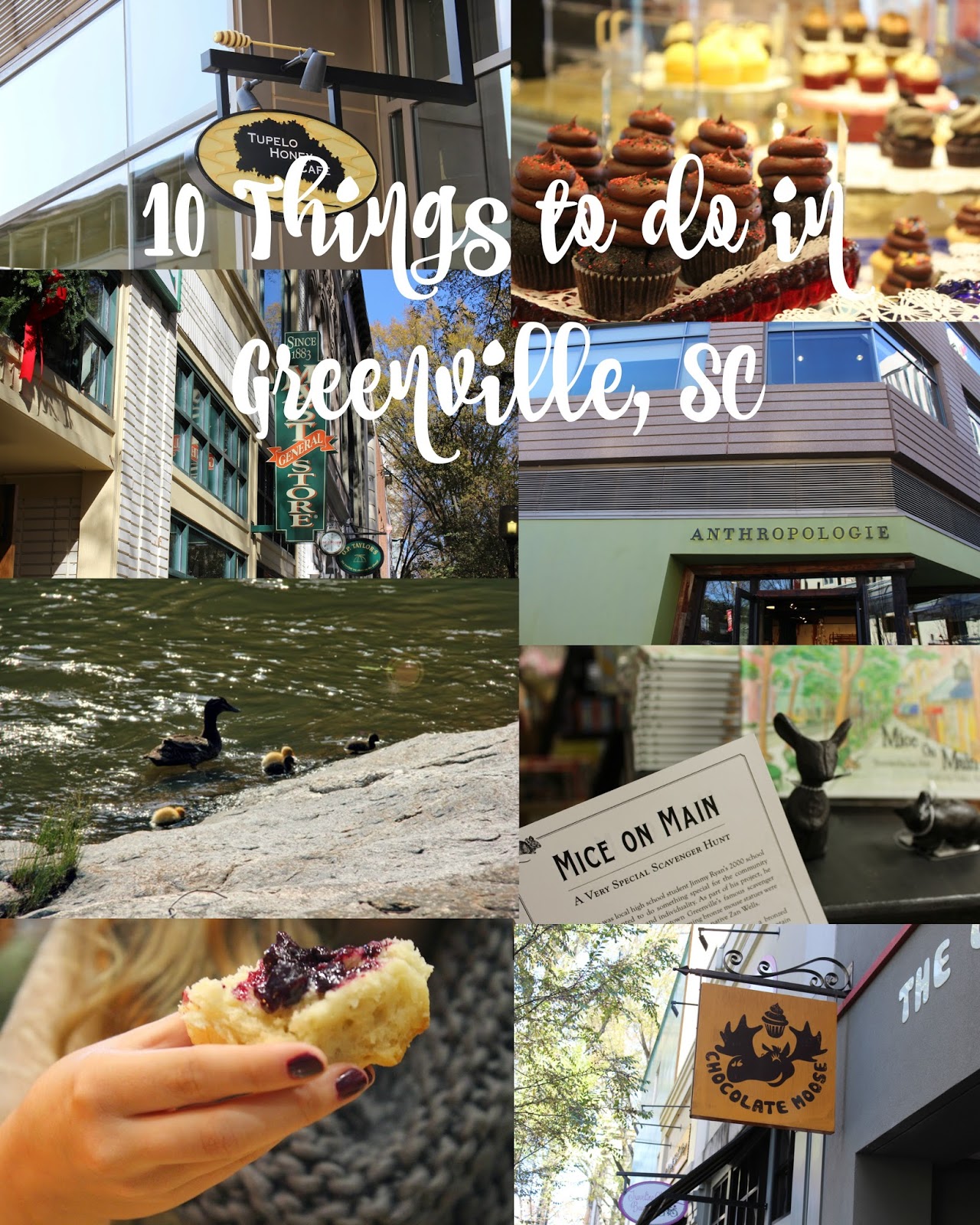 Cupcakes and Sunshine: Sweet Travels: Downtown Greenville ...