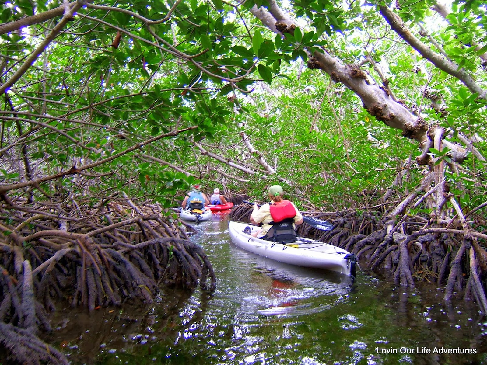 LovinOurLife Adventures Kayaking the Mangrove Tunnels of Key West