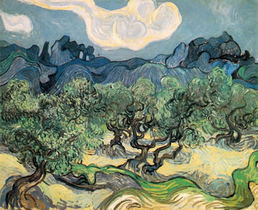 Olivos Vicent Van Gogh