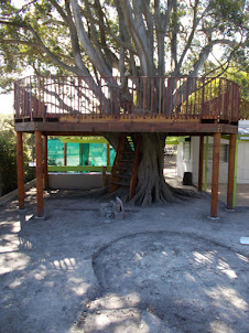 A "Tree top Viewing Platform" in Oude Molen Village.