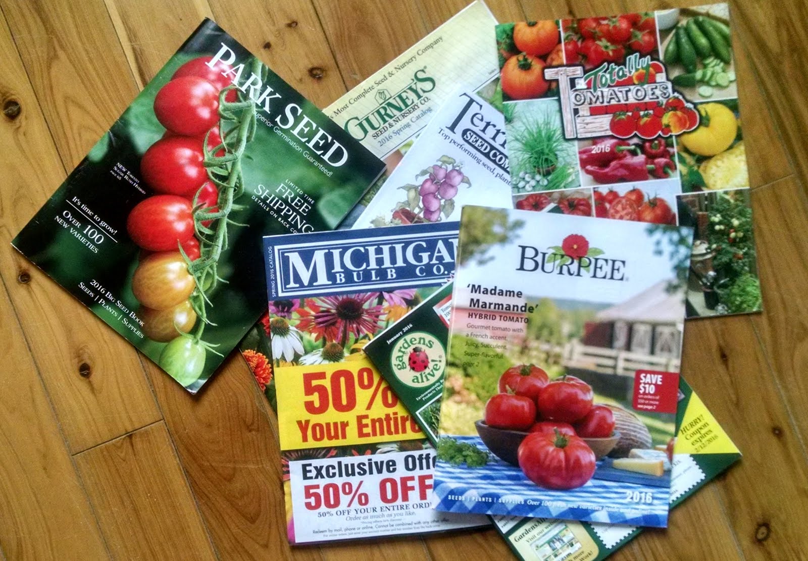 Seed shopping time