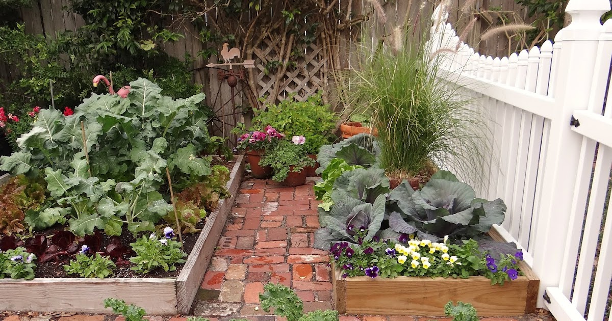 Gardening under the Florida sun The Winter Garden