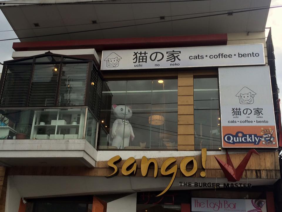 The Cat House Cafe Adorable Cats & Yummy Bento Meals It's Me, Gracee