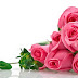 Rose day 2022 proposal messages valentines week | rose day 2022 messages to impress a girl