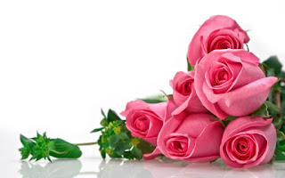 rose day 2021 messages to impress a girl