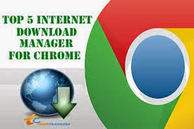 Download Install IDM Internet Download Manager 6.21 Build 2 Serial and Crack