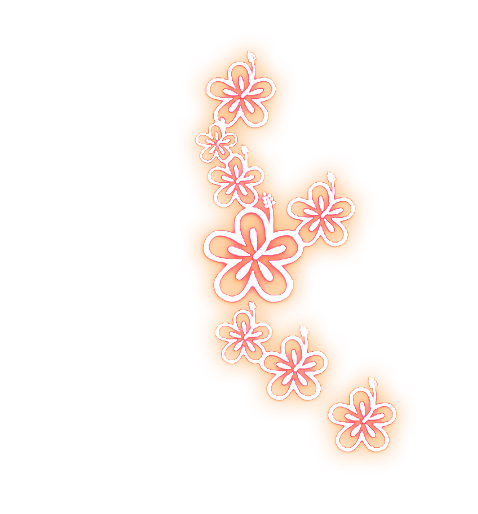 Glowing Flower Effects Free Photo Editing Effects Master Effetcs