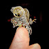 Fairy made of the parts of a hand-watch!