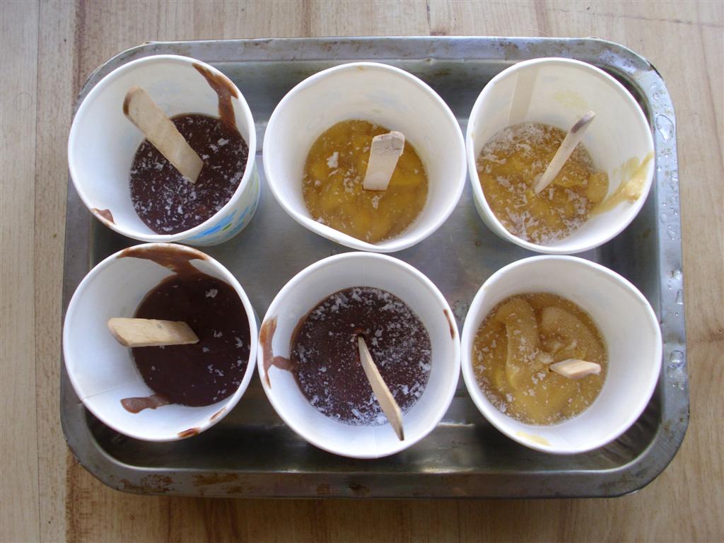 The DoItYourself Mom DIY Pudding Pops