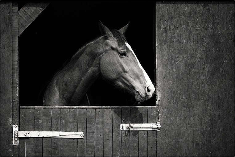 Compact Camera, Best Photo of the Day in Emphoka by David Shields,SIGMA DP3 Merrill,https://flic.kr/p/nxz9Lo Compact Camera, Best Photo of the Day in Emphoka by David Shields,SIGMA DP3 Merrill,https://flic.kr/p/nxz9Lo