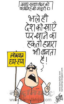 food bill, jan lokpal bill cartoon, corruption cartoon, corruption in india, indian political cartoon