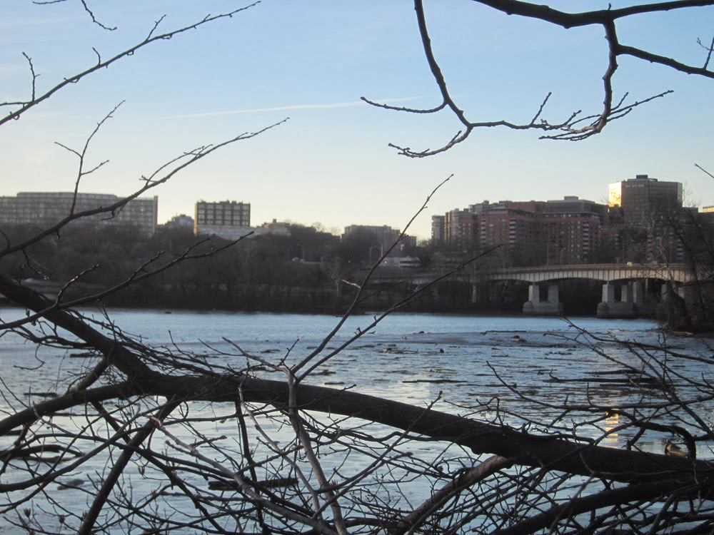 Ode Street Tribune explorer remote region of Rosslyn