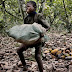 Hershey, Nestle and Mars have been using child slaves to make your chocolate. See for yourself.