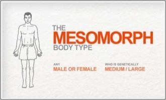 Mesomorph