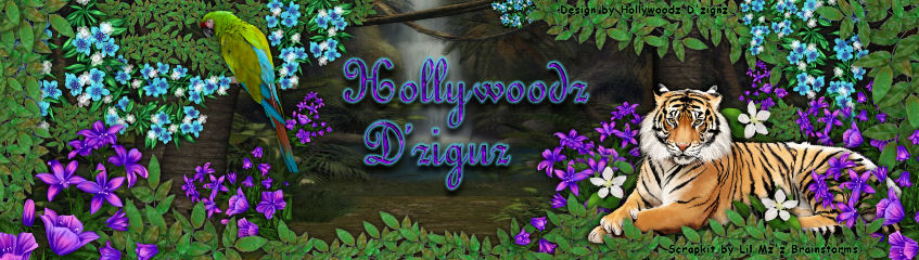 Hollywoodz D'zignz aka CindysCreations