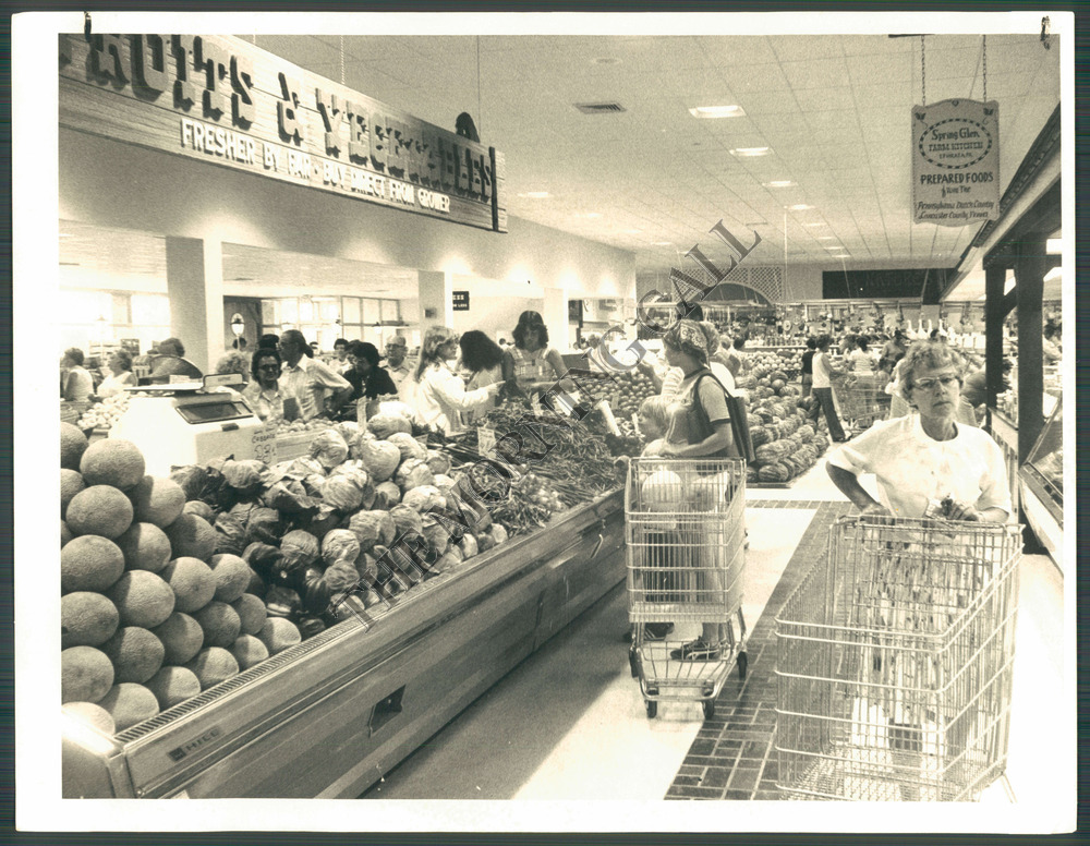 Dan Schantz Greenhouse and Cut Flower Outlet Vintage News Article
