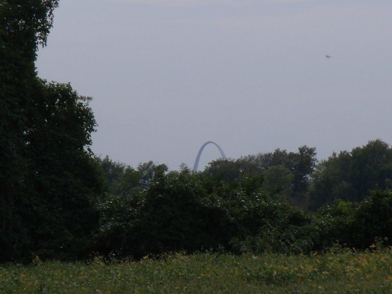 Ron's BTW* Blog Horseshoe Lake State Park, Granite City, IL