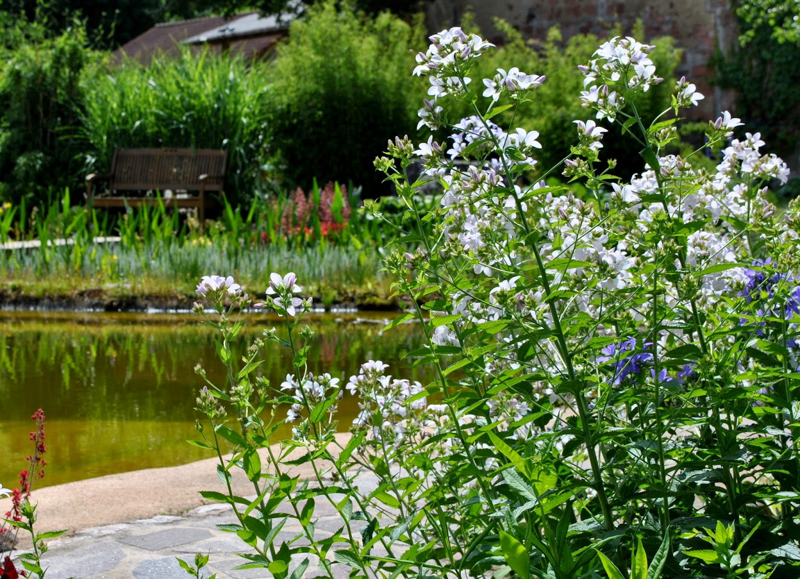 Gartendeko-Blog: Gärten so unterschiedlich wie ihre Besitzer
