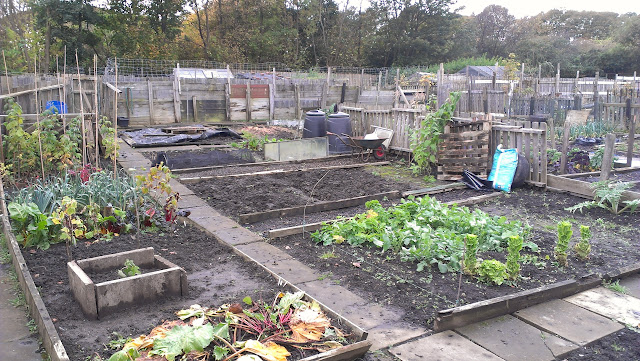 allotment