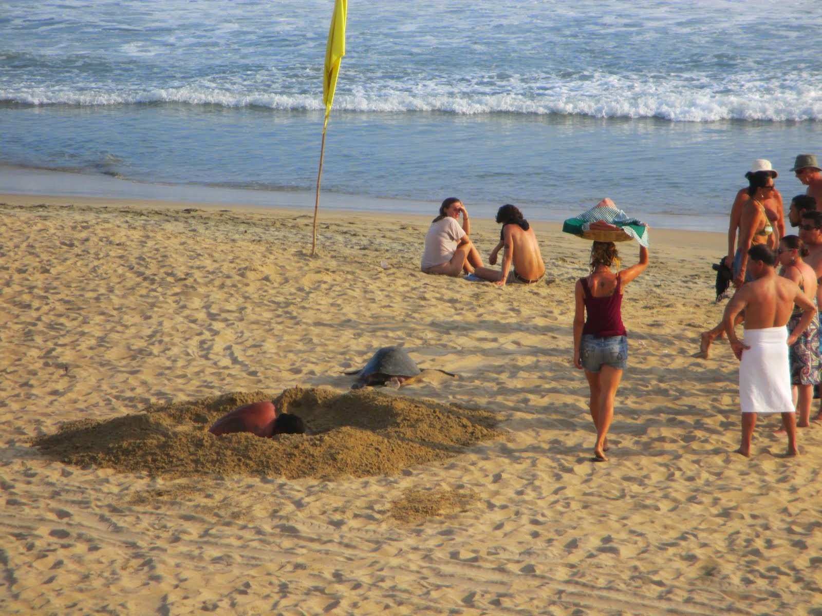 ZIPOLITE 2015