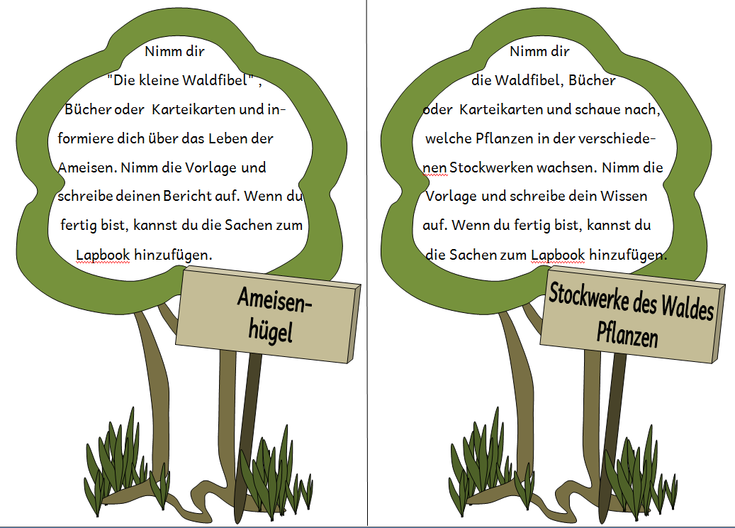 Auftragskarten Lapbook Wald Tipss Und Vorlagen