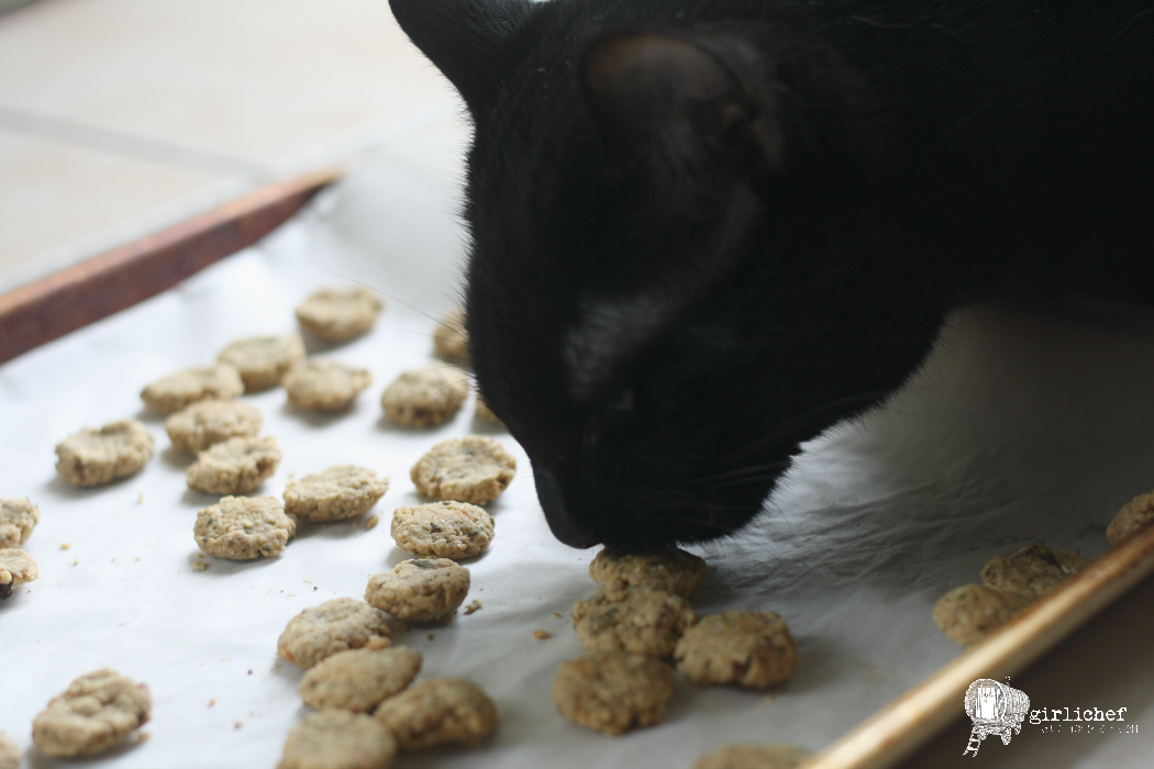 Homemade Chicken & Cranberry Cat Treats All Roads Lead to the Kitchen