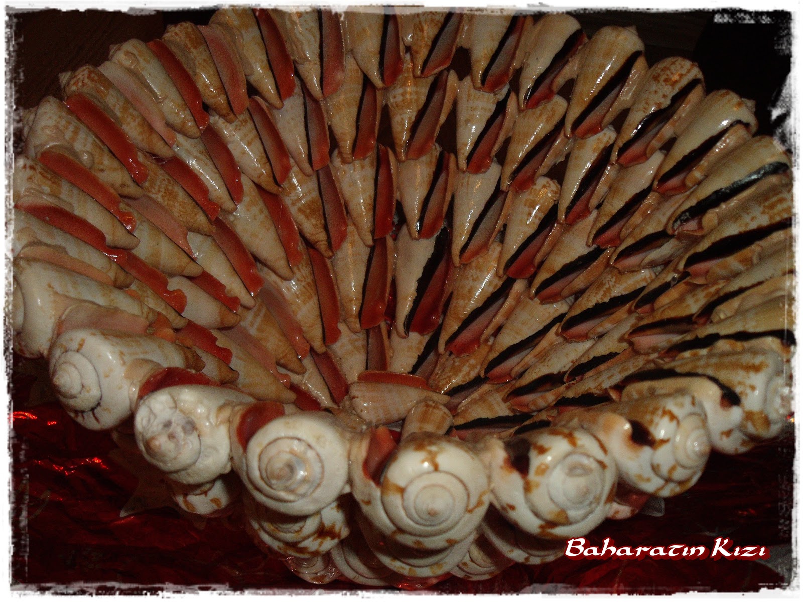 Baharatın Kızı: Ocak 2012