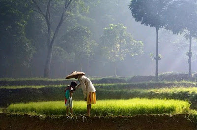 http://2.bp.blogspot.com/-FguS0G5tldo/T6icMtOFPgI/AAAAAAAABUE/O9NAKSZL5S8/s1600/ibu-di-sawah2.jpg