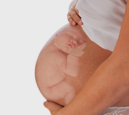 Como Saber Si El Bebe Se Esta Desarrollando Adecuadamente En El Utero Embarazo Online Como Saber Si El Bebe Se Esta Desarrollando Adecuadamente En El Utero Embarazo Online