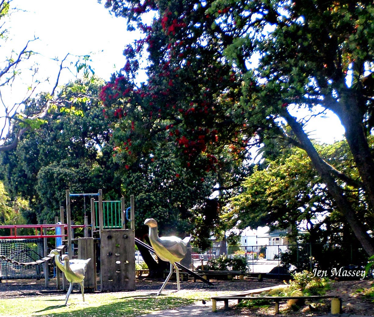 Napier Daily Photo Nelson Park School