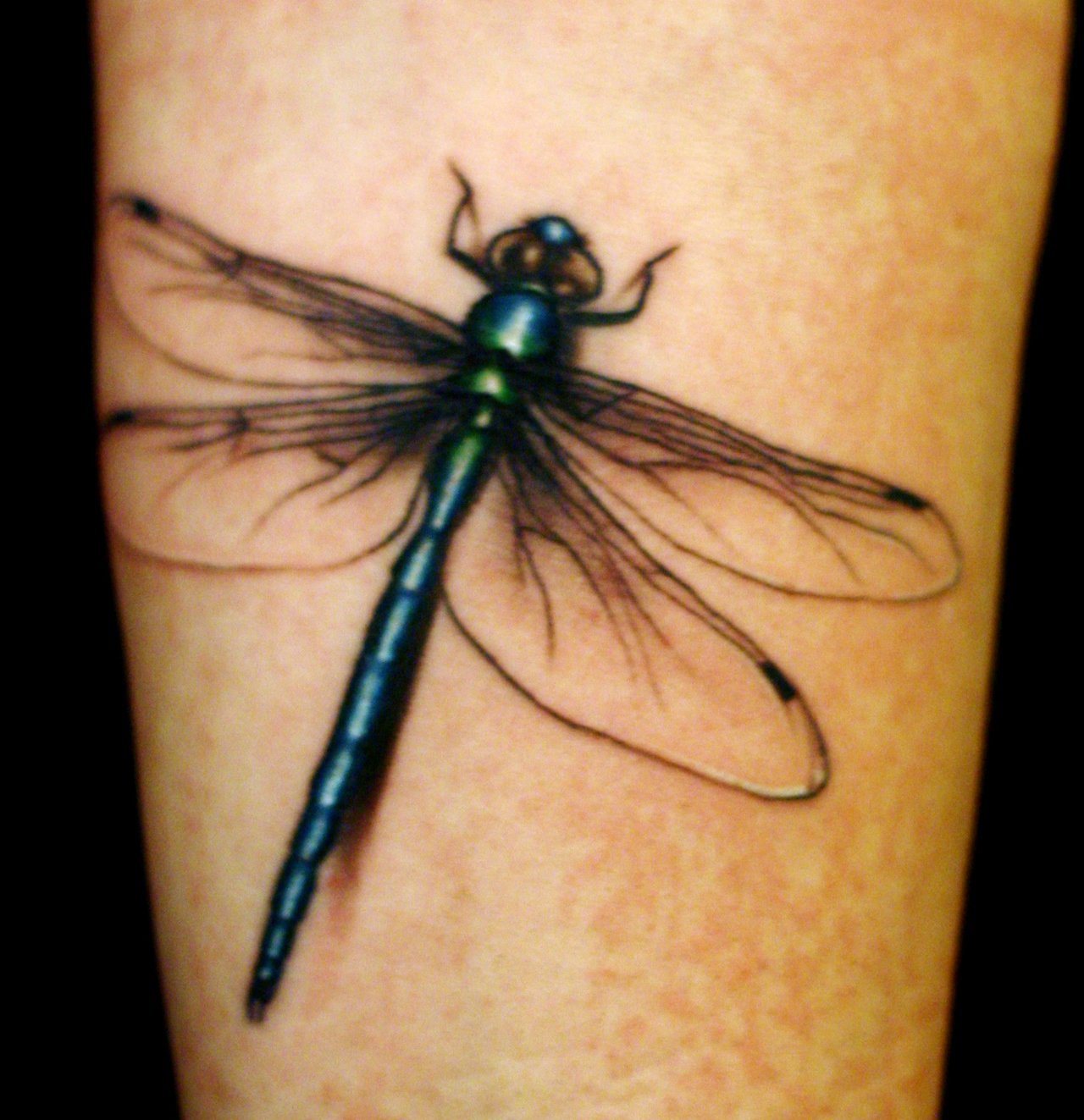 Dragonfly Tattoo3D Tattoos