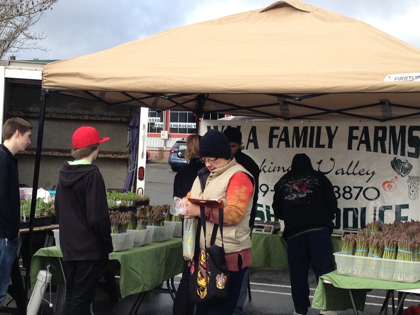 Thoughts, humor and things to ponder from my life in Port Orchard