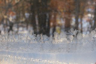 sunshine on frosted window photo of sunshine on frosted window