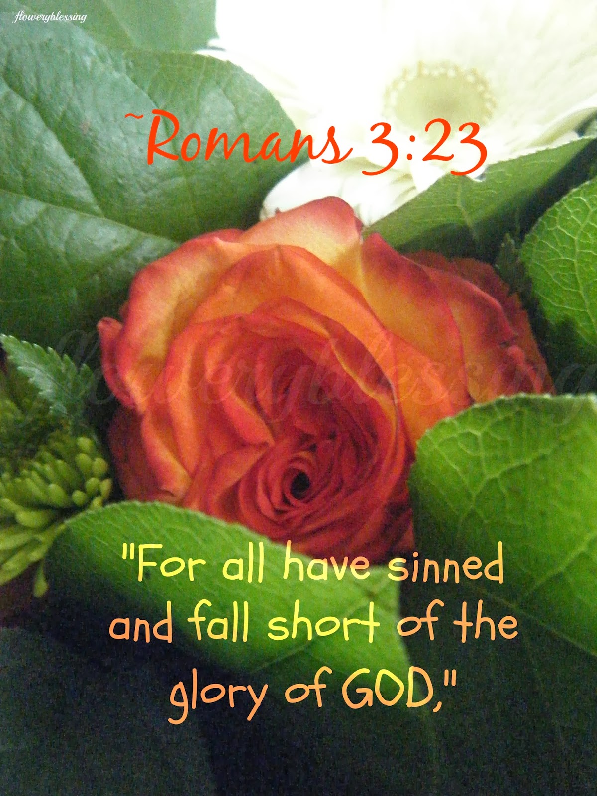 For All Have Sinned Kjv - 24u6e2y