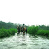 Danau Gagal - Ranuwurung Danau Gagal - Ranuwurung