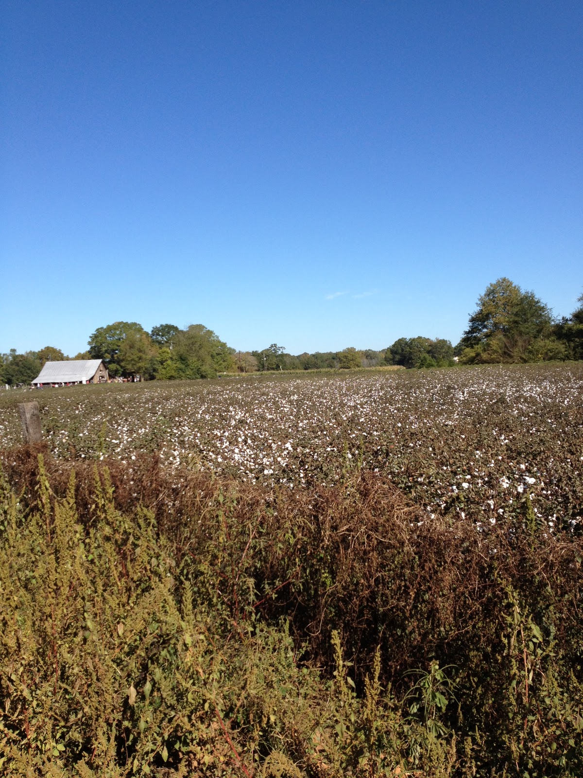 Old Baker FarmHarpersville, AL