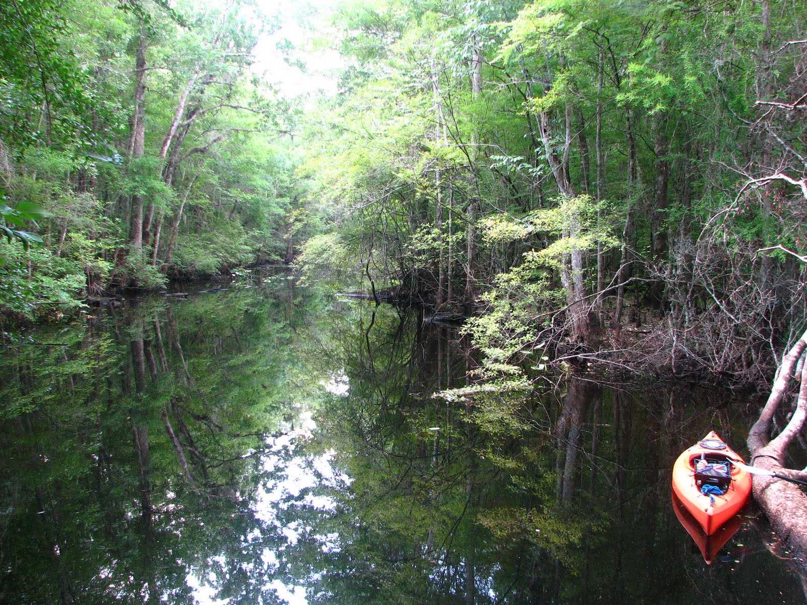 Clean Waterway Society ..Durbin Creek Solitude...