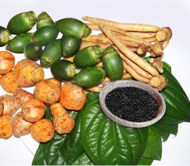 obat herbal untuk mengatasi penyakit ayam ayam kung obat herbal untuk mengatasi penyakit ayam ayam kung