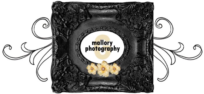 Mallory G Photography